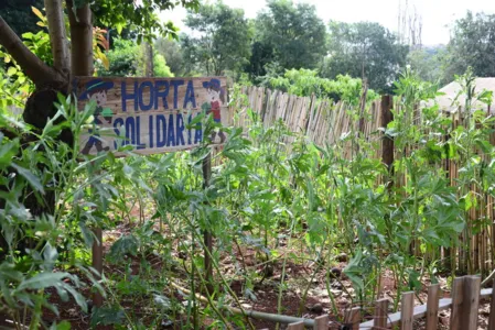 Horta solidária promove saúde e renda; assista