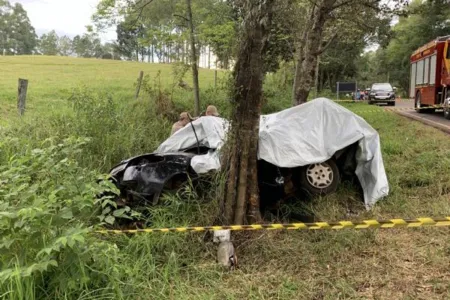  Houve saída de pista seguida de choque com árvore, envolvendo um Siena  