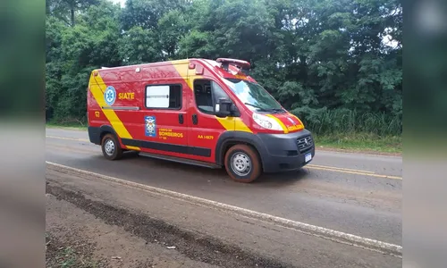 Idoso cai de pé de manga e é socorrido pelo Corpo de Bombeiros