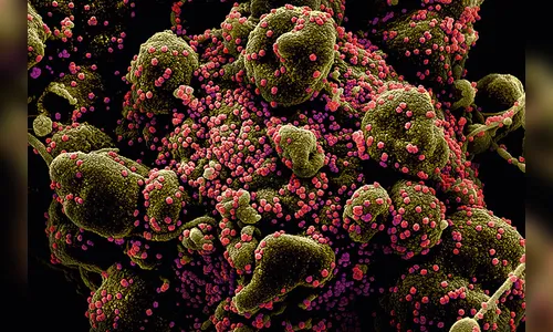 Idoso do lar de Marilândia do Sul morre vítima da Covid-19