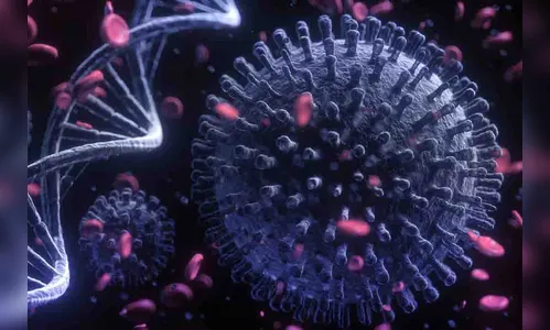 Jardim Alegre confirma nova morte de paciente da Covid-19