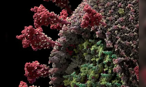 Ivaiporã contabiliza 58 mortes e 11 novos casos de Covid