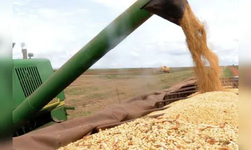 PM prende suspeitos de furto de soja em Arapuã
