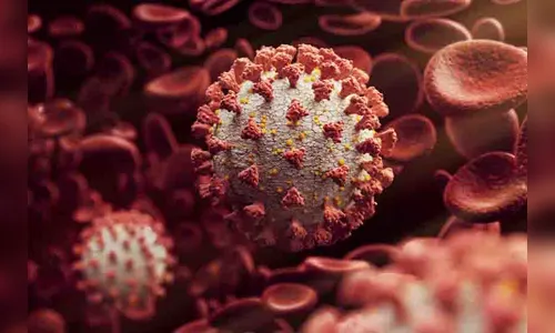 Covid-19: cinco diagnósticos em Jardim Alegre, neste sábado