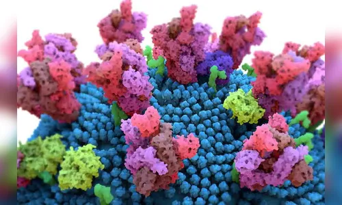 Homem de 75 anos é vítima da Covid-19 em Ivaiporã