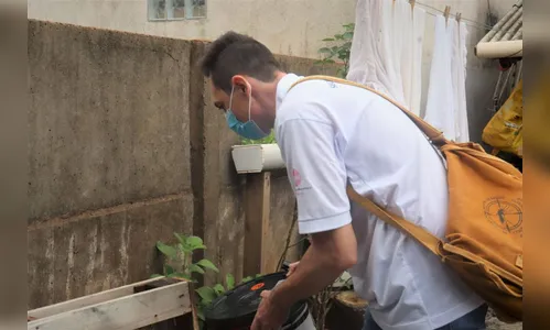 Informe Epidemiológico aponta 231 notificações e nove casos de dengue