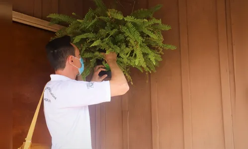 Informe Epidemiológico aponta dez casos confirmados de dengue