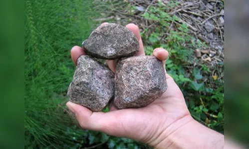 Ladrão é preso tentando furtar subestação de água