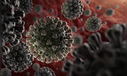 Londrina registra 16 óbitos por Covid-19 e 227 novos casos