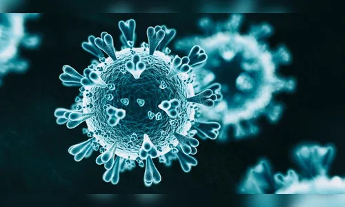 Londrina tem 14 óbitos por Covid e recorde de 185 internados