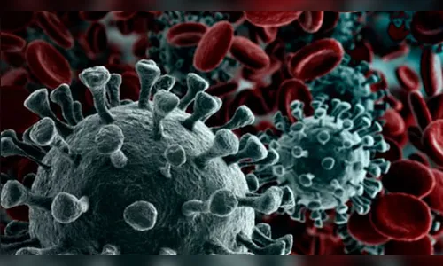 Mais de 15 mil paranaenses perderam suas vidas pela Covid-19