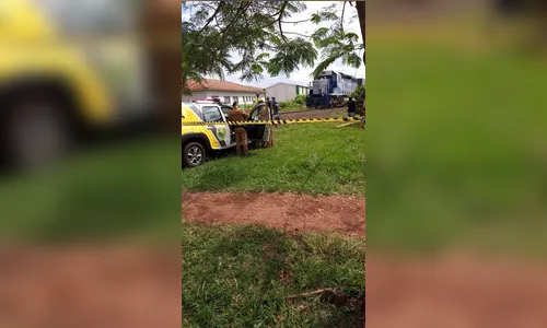 Mulher morre após ser atropelada por trem