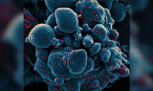 Mulher morre vítima da Covid em Jandaia do Sul