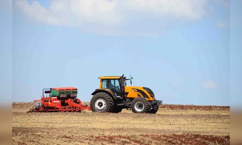 Com preço em alta, milho safrinha ganha espaço