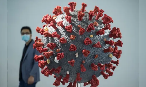 Número de novos óbitos por Covid-19 é o maior desde o início da pandemia