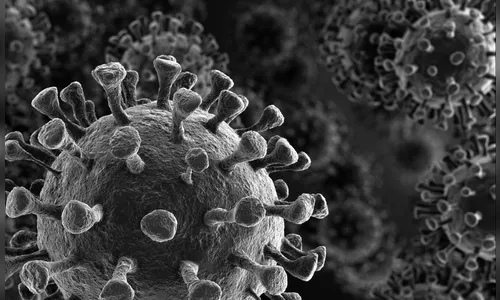 Pandemia completa 1 ano no Paraná em fase crítica