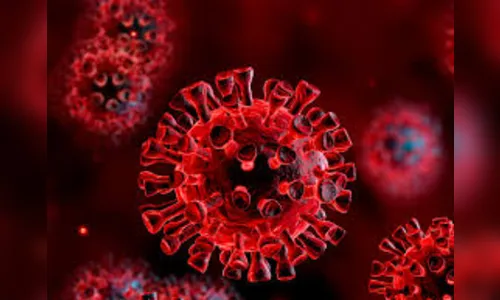 Paraná confirma mais 4.690 casos e 193 óbitos pela Covid-19