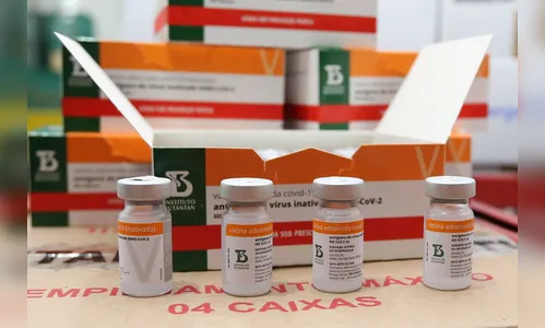 Paraná distribui novo lote de vacinas contra o coronavírus