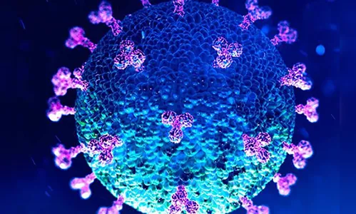 Paraná divulga 4.449 confirmações e 65 mortes pela Covid-19