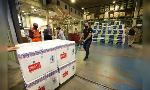 Paraná recebe mais 240,4 mil doses da vacina contra a covid