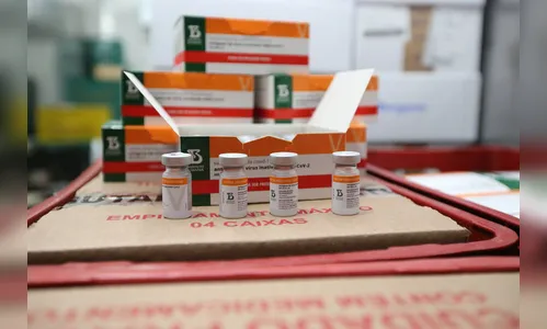 Paraná recebe novo lote com 258,4 mil doses de vacinas