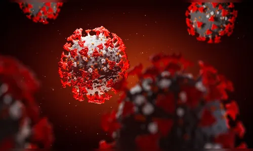 Paraná registra 13.826 mortes pela Covid-19