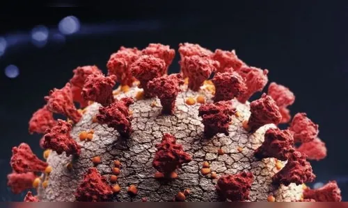 Paraná registra 8.112 novos casos e 286 óbitos pela Covid-19