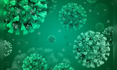 Paraná registra maior número de óbitos por Covid-19 desde janeiro