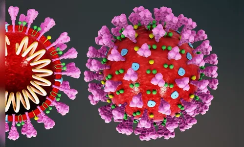 Paraná registra mais 3,8 mil casos e 93 óbitos pela Covid-19