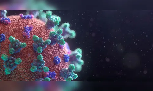 Paraná soma 834.387 casos e 16.173 óbitos pela Covid-19