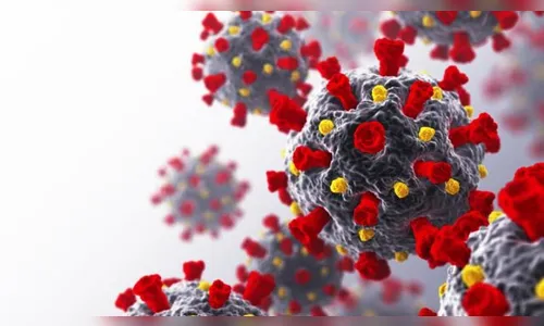 Paraná tem mais 5.008 casos e 244 mortes por Covid-19