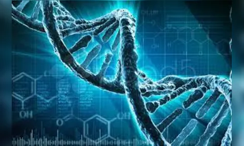 Passa a valer lei do teste de paternidade em parentes de pai