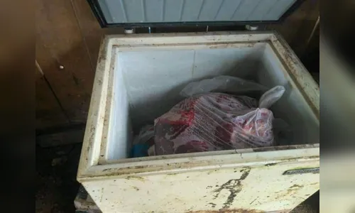 Polícia Militar descobre abatedouro clandestino de cavalos