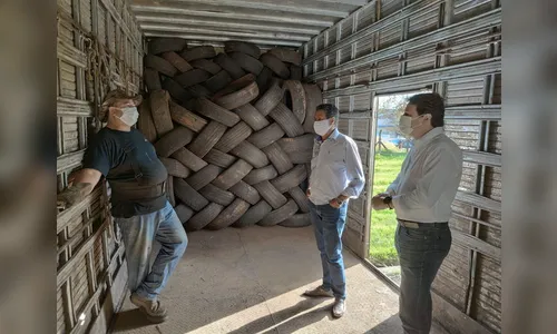 Serviço faz a correta destinação de mais de 100 mil pneus