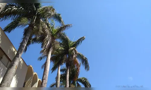 Simepar prevê sol durante o feriado na região; confira