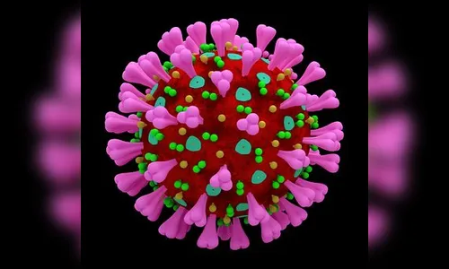 Surto de Covid em asilo é investigado pela 16ª RS