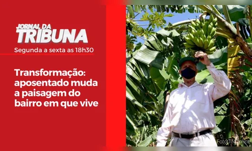 Transformação: aposentado muda a paisagem do bairro em que vive
