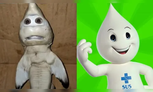 Tubarão é comparado com Zé Gotinha e rende memes nas redes sociais