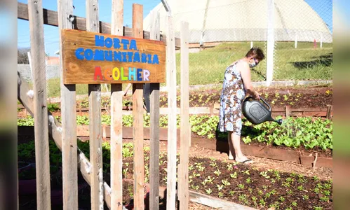 UBS adota horta comunitária como terapia; ASSISTA