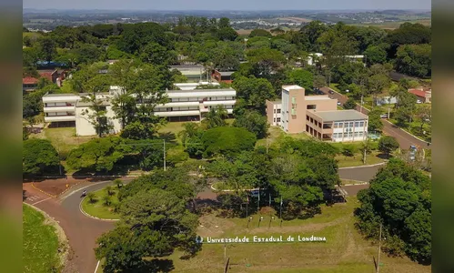 UEL integra projeto contra a violência infantil