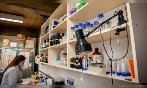 UFPR prepara vacina contra Covid-19 mais barata