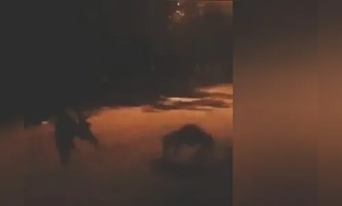 Vídeo mostra suposto 'lobisomem' no interior do Paraná