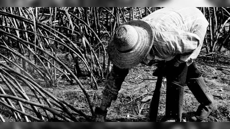 Imagem ilustrativa da notícia Vereador: Presidente bóia-fria