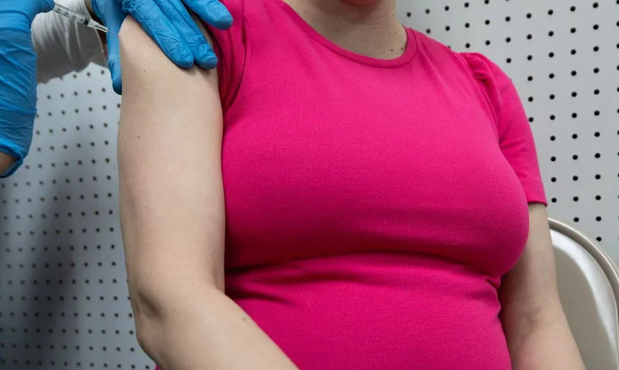 Anvisa sugere parar vacinação de grávidas com a AstraZeneca