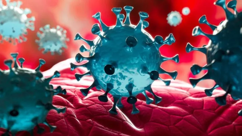 Arapongas registra 102 novos casos de coronavírus e 4 óbitos