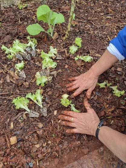 Hortas solidárias ganham novos espaços na cidade