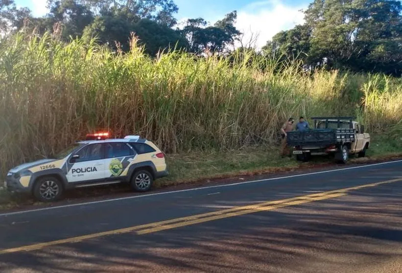 PM recupera camioneta furtada durante a madrugada; assista