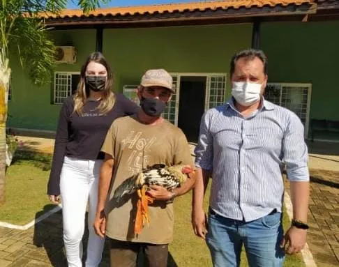 Segue arrecadação de recursos para dono do galo de Ivaiporã