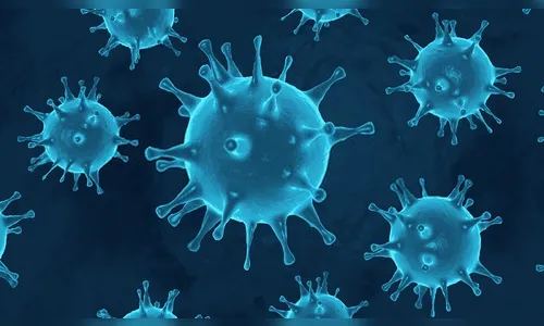 78 pessoas morreram por Covid-19 neste mês em Apucarana