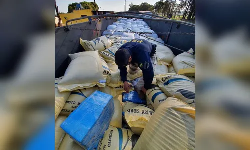 Caminhoneiro é preso com 2,7 toneladas de maconha na BR-369